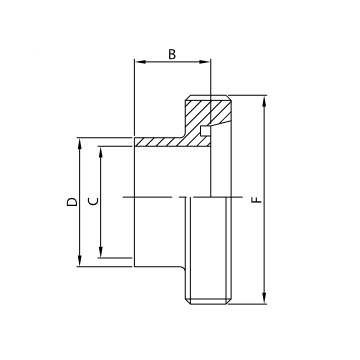 BOCCHETTONE SR-102D A304L FILETTATO