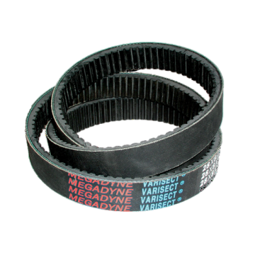 CINGHIA VARISECT 70X20